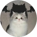 Benjamin Carter profile picture